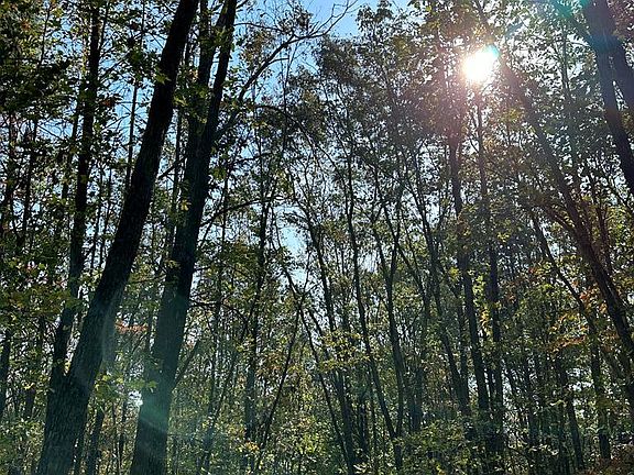 5th image of Vista Rdg