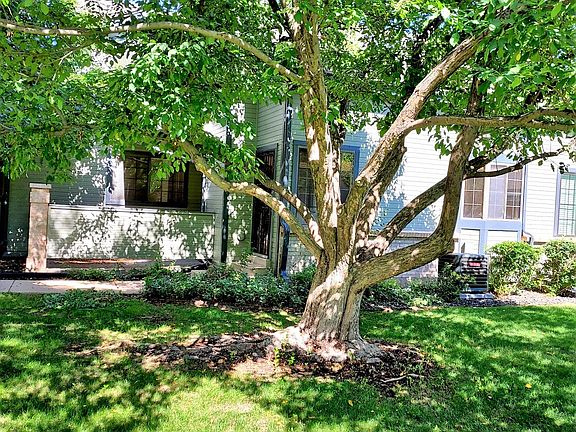VIEW OUT LIVING ROOM WINDOW