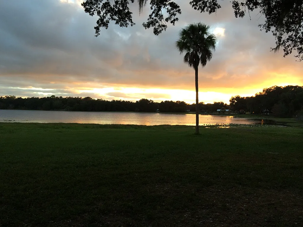 1 bed, 1200 sqft, $1,600 — Photo 1