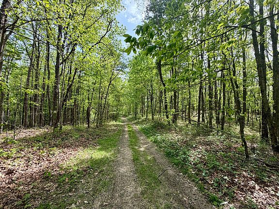 3rd image of 566A Tunnel Ridge Rd