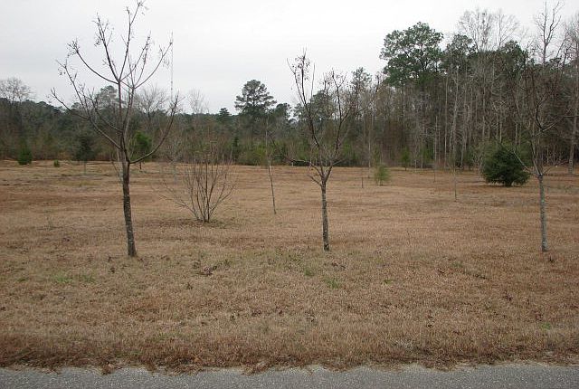 1st image of Joyce Dr