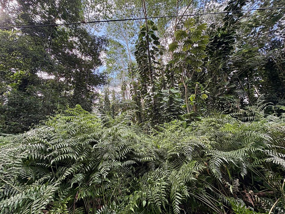2nd image of Pakalana Rd Lot 426