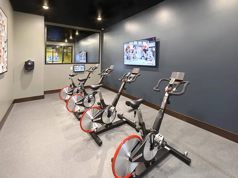 Spin Studio