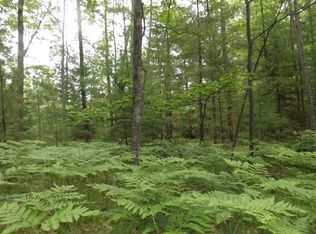 1 Club Ave, Saint helen, MI 48656