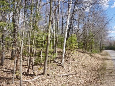 12 Ac Forest Ln, Rhinelander, WI, 54501