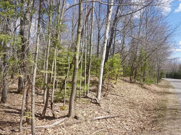 12 Ac Forest Ln, Rhinelander, WI 54501