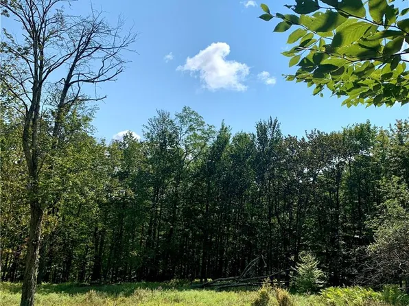 Red Hill Rd, Claryville, NY 12725