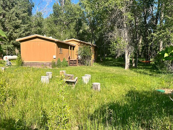 exterior - backyard in summer