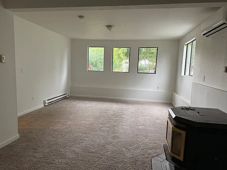 1007 Pine St — Photo 13