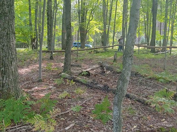 9552 Fawn Lake Dr, Stanwood, MI 49346