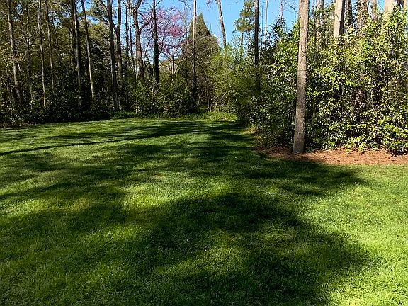 Left Rear Crnr-End of Drvway