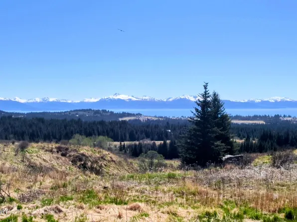 66711 Fry Ct, Homer, AK 99603