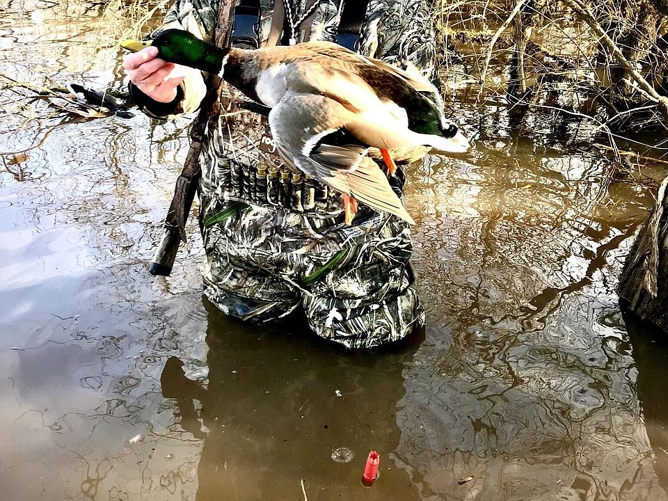 50th image of this home