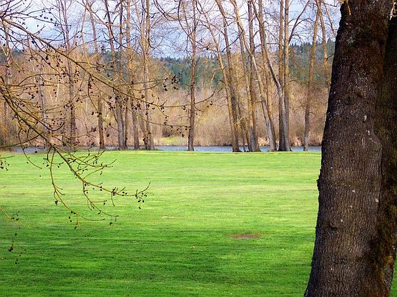 Park area before the Rogue River