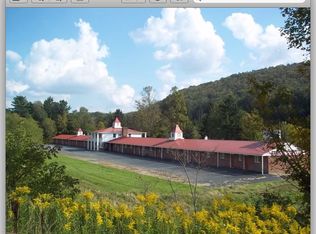 102 Debruce Rd, Livingston Manor, NY 12758