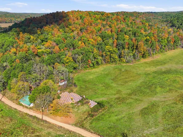 1189 County Road 428, Redford, MO 63665