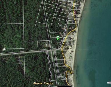 LOT 13 N Lake Shore Dr, Harrisville, MI, 48740