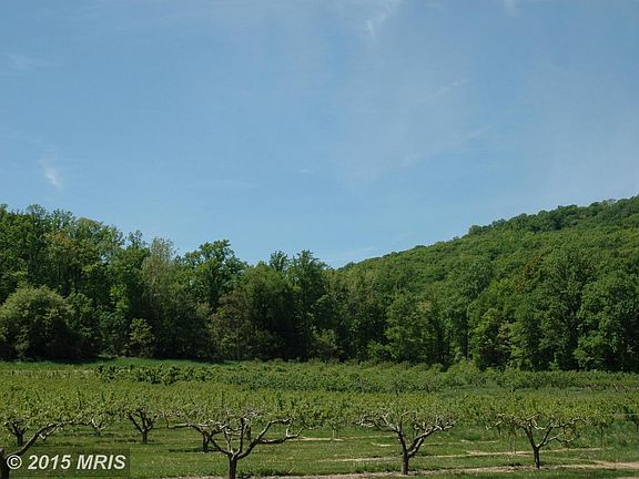 Orchard and Mountain views