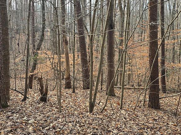 4th image of 0 Lind Hill Ln