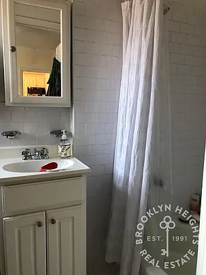 Rented by Brooklyn Heights Real Estate Inc | media 8