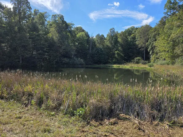 Ferney Creek Rd NW, Willis, VA 24380