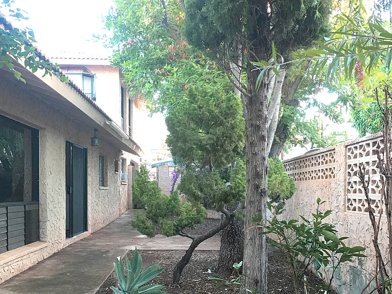 Olu St — Photo 15