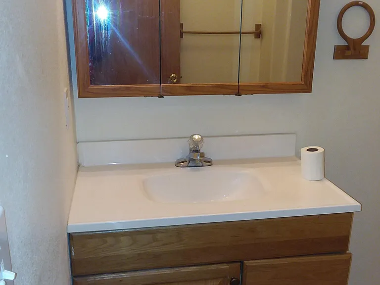 Downstairs bathroom vanity