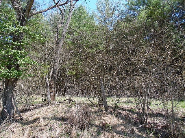 2nd image of Tbd Sugar Shack Road