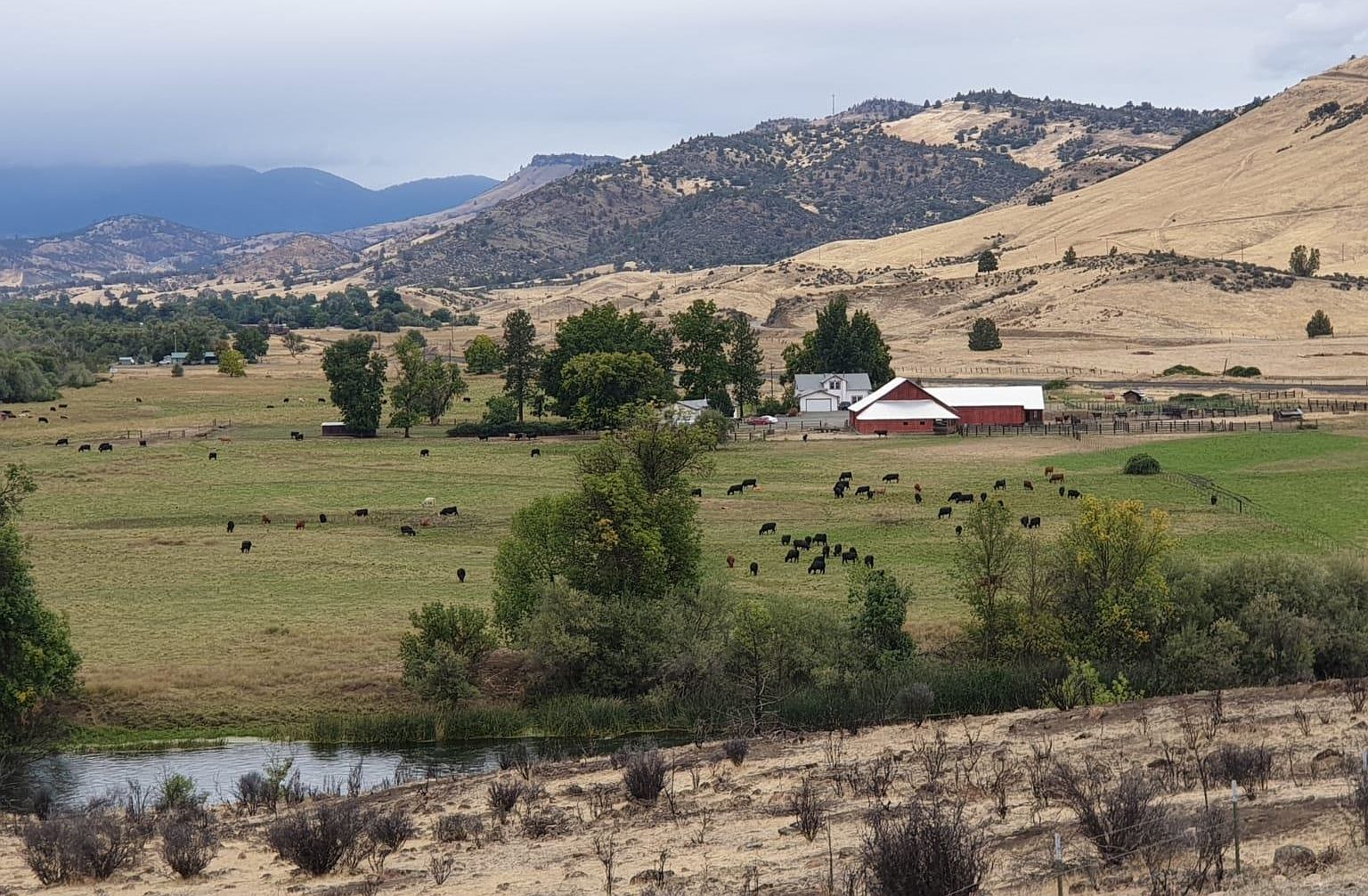 1224 Copco Rd, Hornbrook, CA 96044 MLS 20230742 Zillow