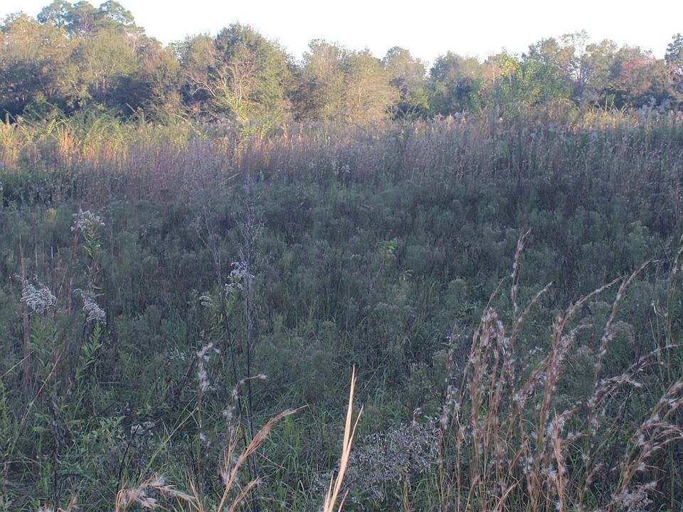 2nd image of Klondike Rd
