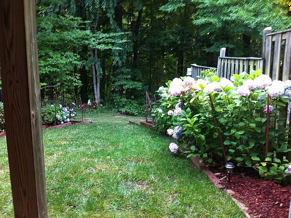 Backyard View from Patio