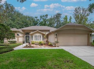 3821 Turkey Oak Dr, Valrico, FL 33596