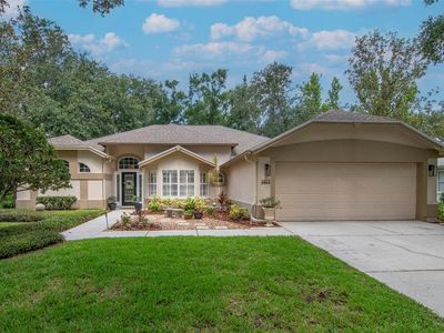 3821 Turkey Oak Dr, Valrico, FL, 33596