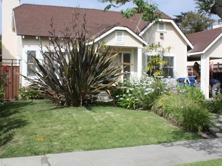 Front yard