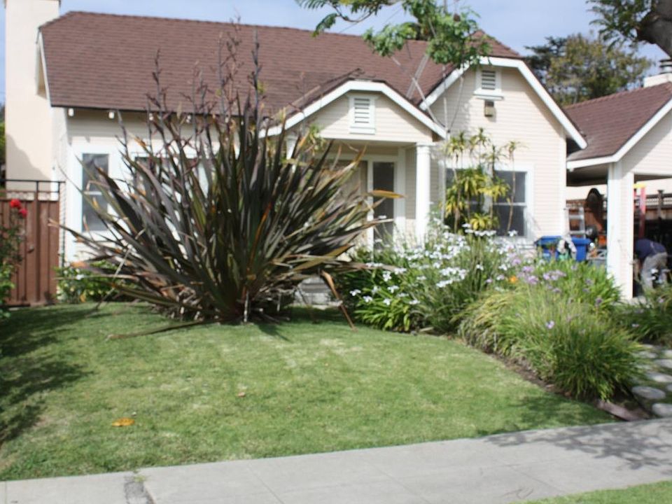 Front yard