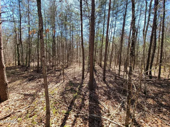 0 Paige Ln Lot 25, Deer Lodge, TN 37726