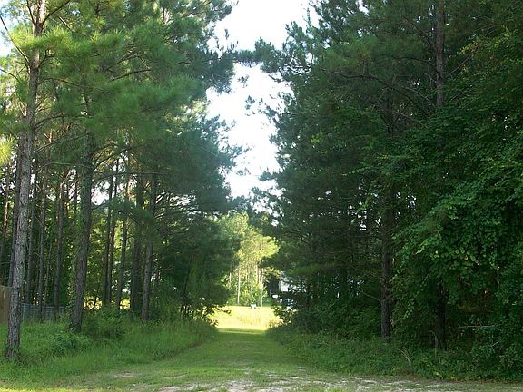 Nature trail to Lake