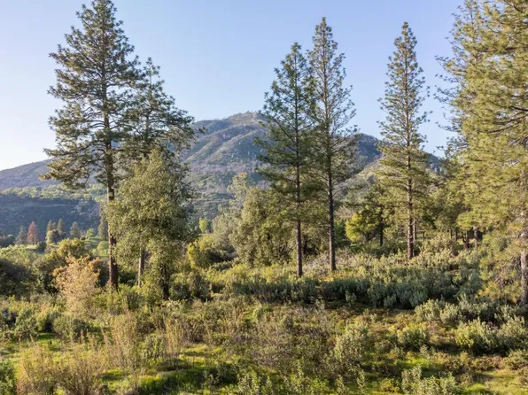 3433 Sterling Ct, Mariposa, CA 95338