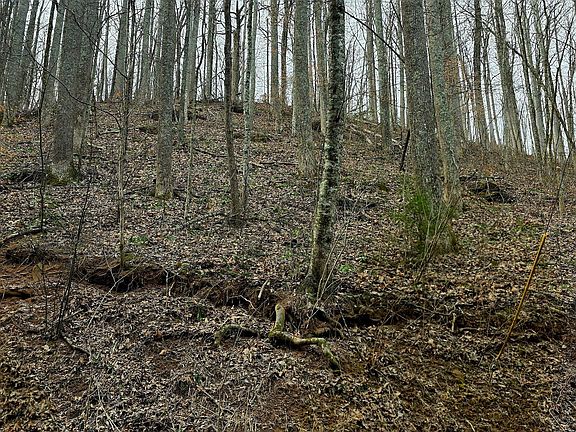 3rd image of Emerald Springs Loop