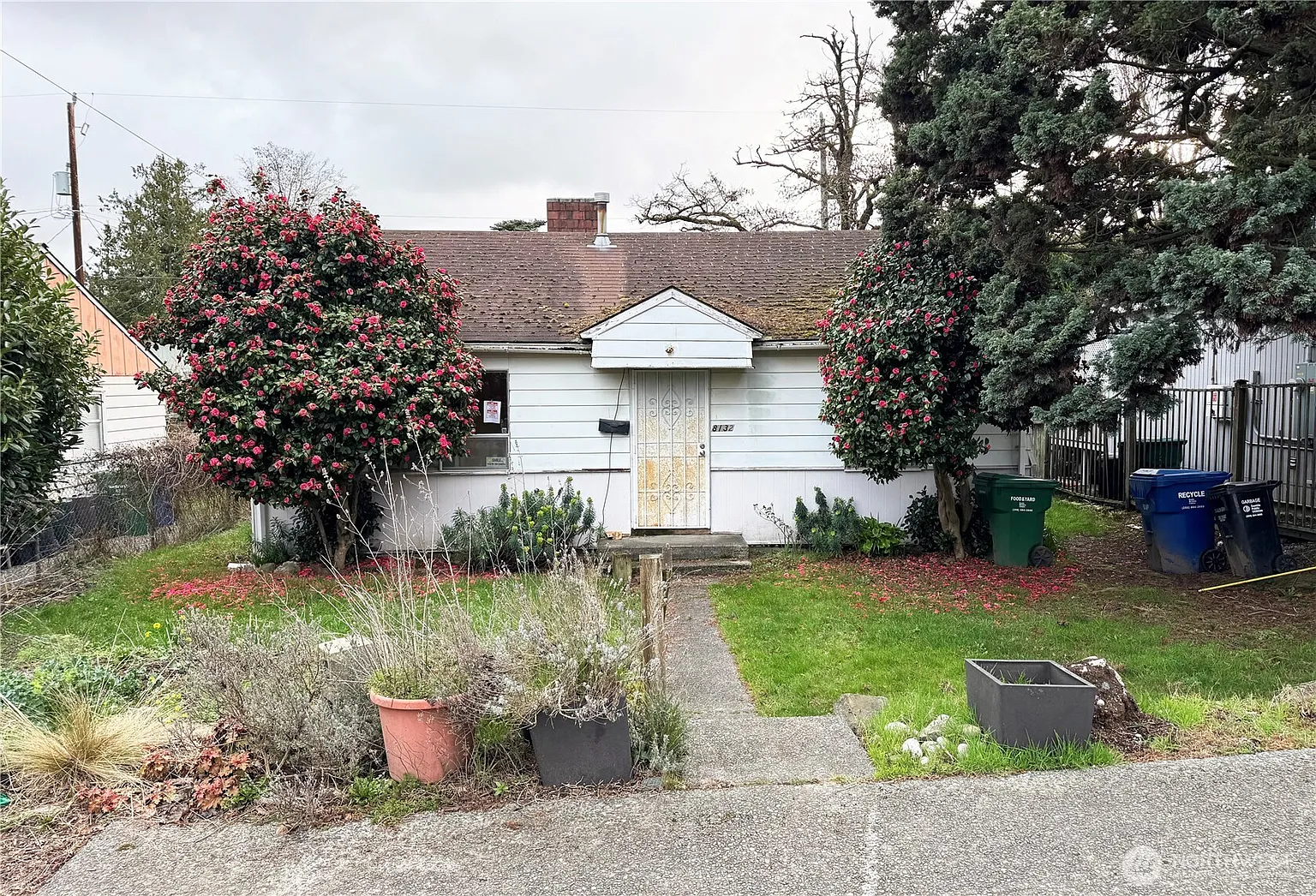 8132 13th Avenue SW photo 1