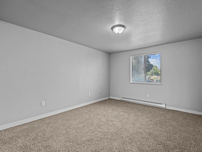 Shannon South — Photo 20