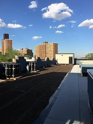 Rented by Manhattan Management LLC | media 66