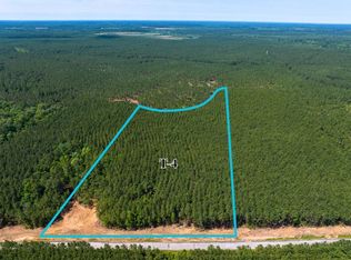 4 Camp Ruby Rd, Livingston, TX 77351