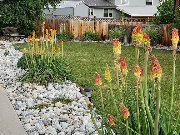 Plants are on a drip system