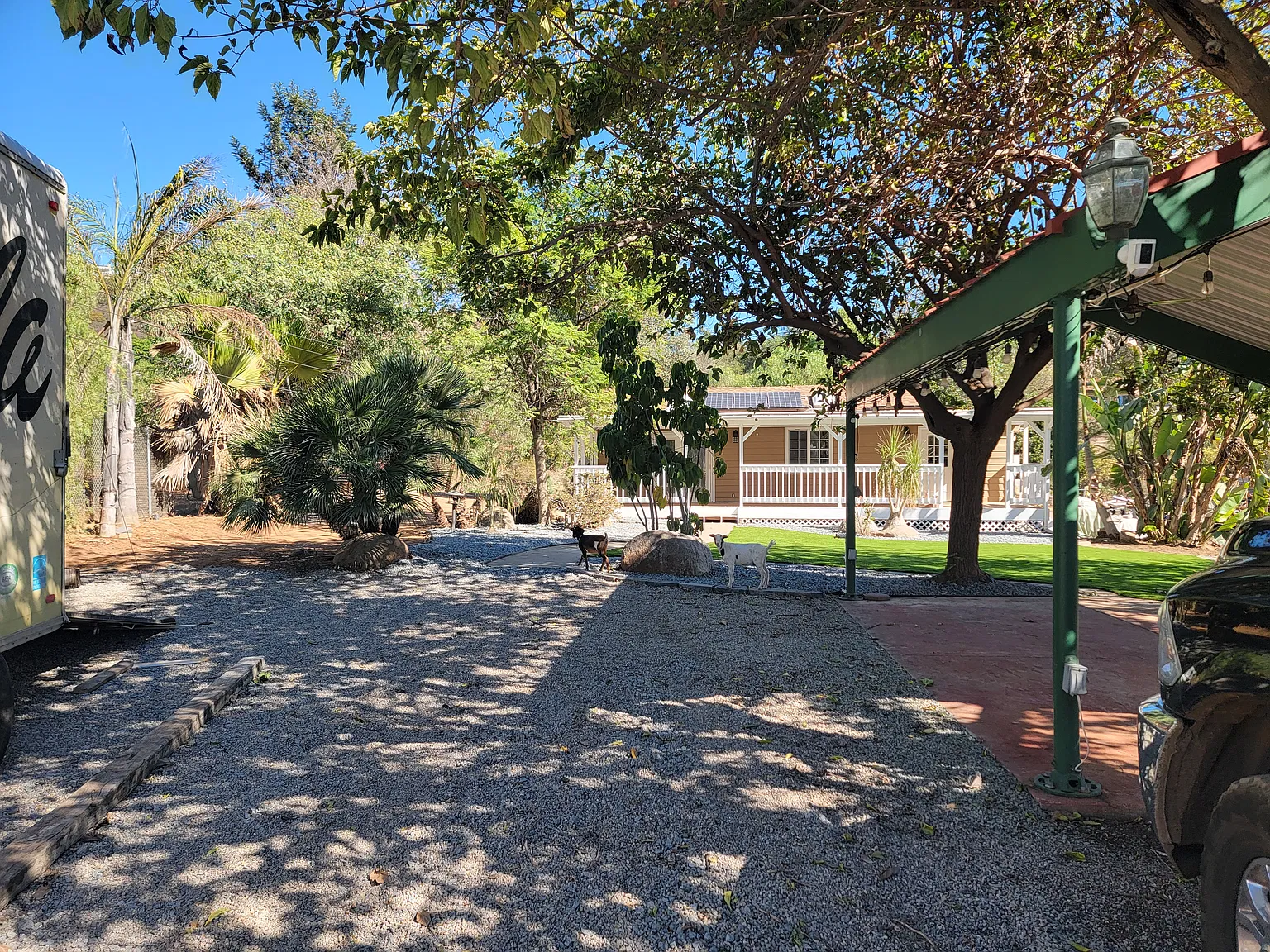 3 bed, 1170 sqft, $3,850 — Photo 3
