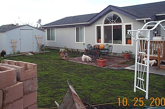 Front Yard in 2002