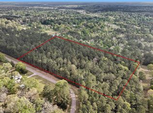 Cedar Lane Loop, Willis, TX 77378