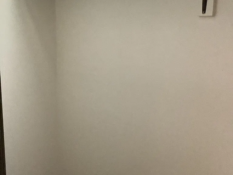 Down stairs walk-in closet