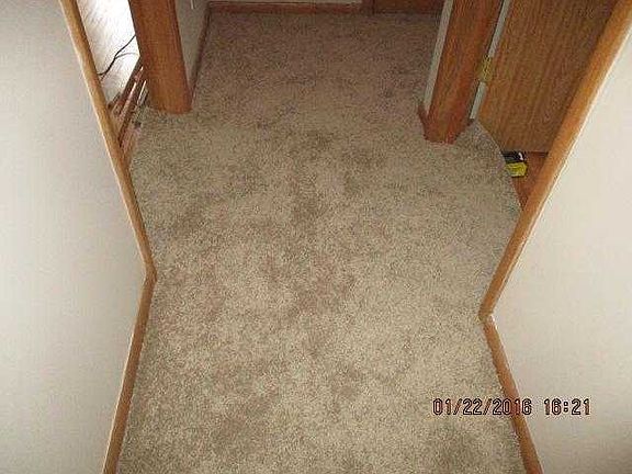 Carpet