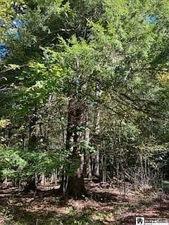 5th image of 2552 Butts Rd #36